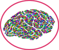 Can We Shape the Brains We Want?